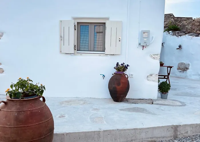 Daire Magnolia Kostos